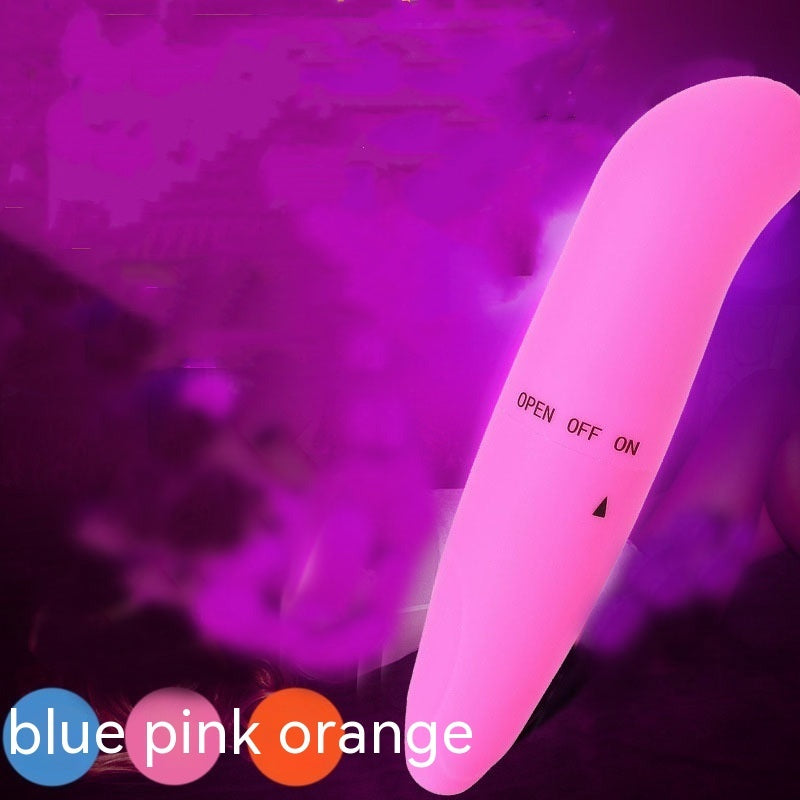 Little Dolphin Vibrator