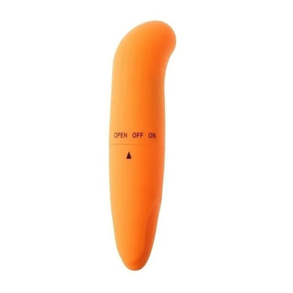 Little Dolphin Vibrator