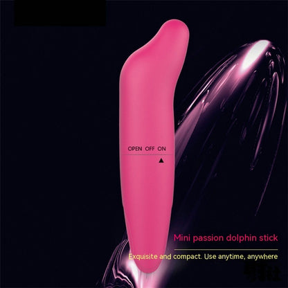 Little Dolphin Vibrator